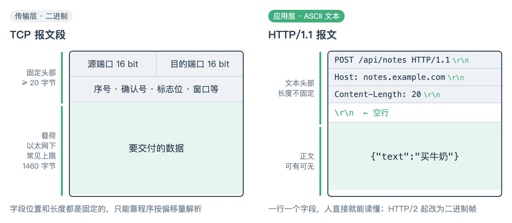 左边是 TCP 报文段:20 字节以上的二进制头部加载荷;右边是 HTTP/1.1 报文:几行文本头部、一个空行、再加正文